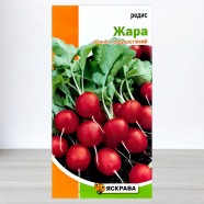 Семена редиса Жара, 3г, ТМ Яскрава